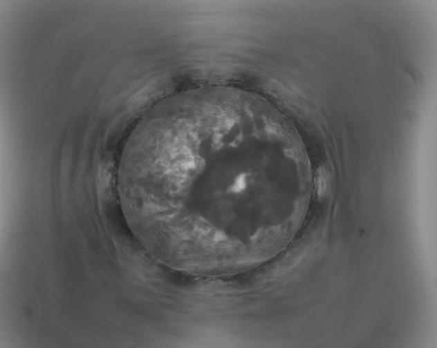 X0000114111059200910191658