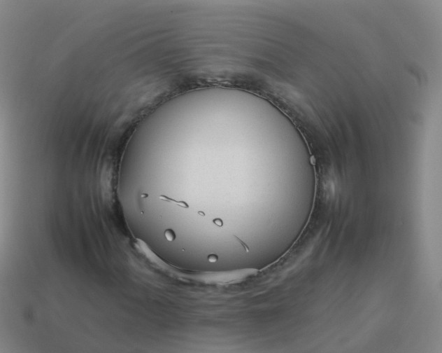 X0000114111060200910191658