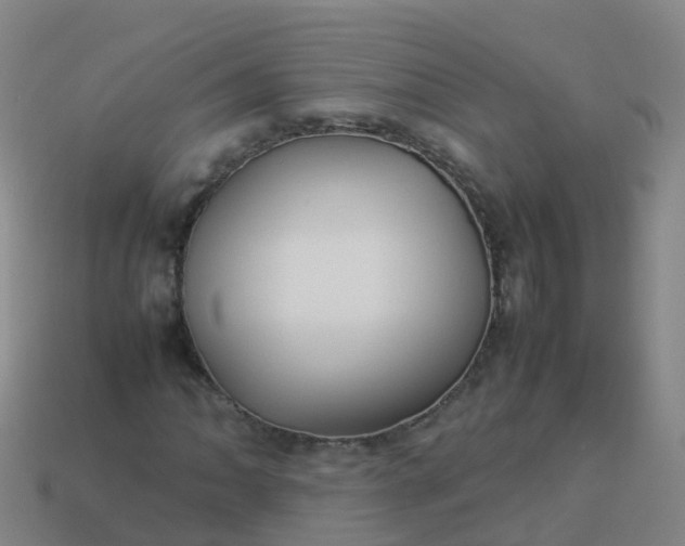 X0000114111062200910191657