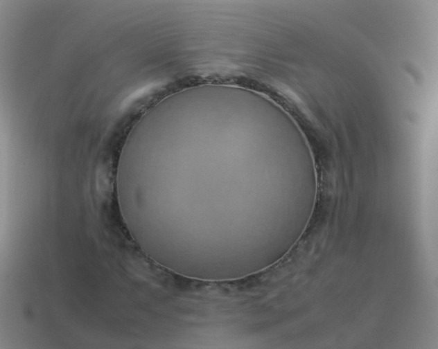 X0000114111063200910191657