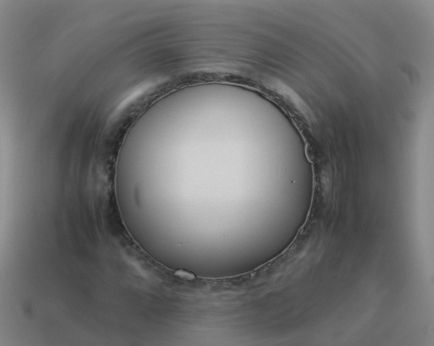 X0000114111064200910191657