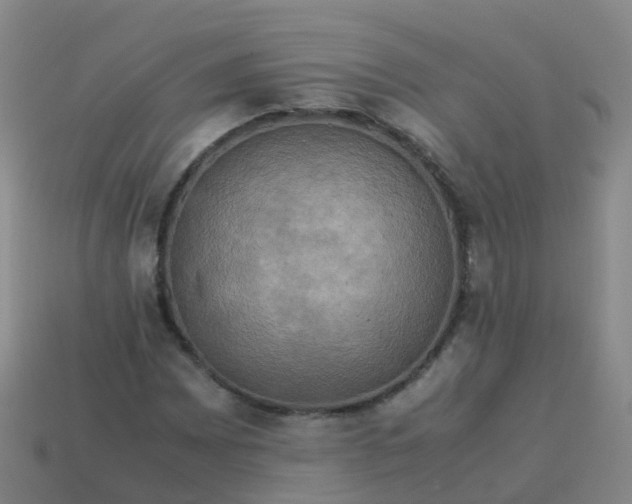 X0000114111065200910191657