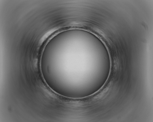 X0000114111066200910191657