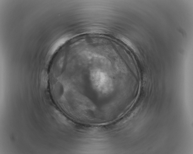 X0000114111067200910191657