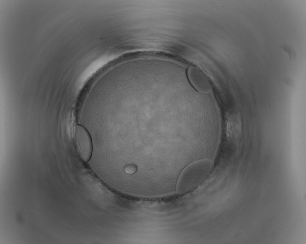 X0000114111069200910191657