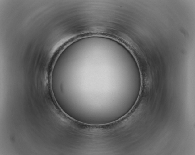 X0000114111070200910191657