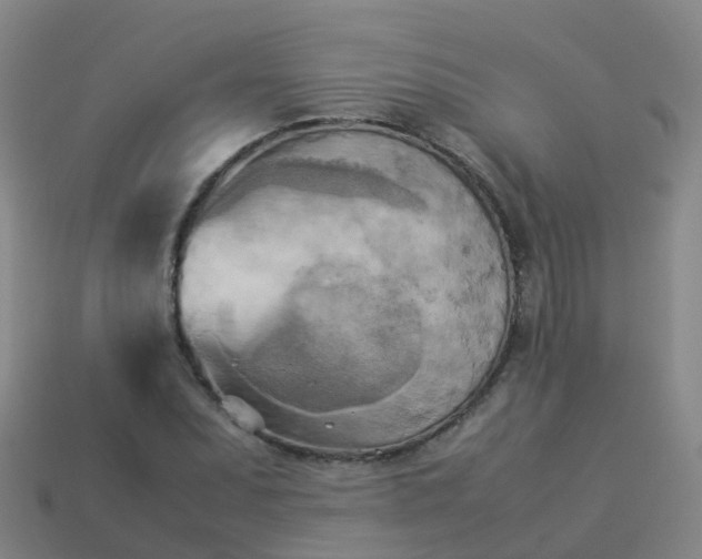 X0000114111071200910191657