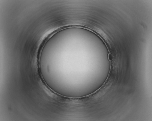 X0000114111072200910191657