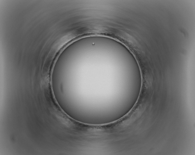 X0000114111073200910191657