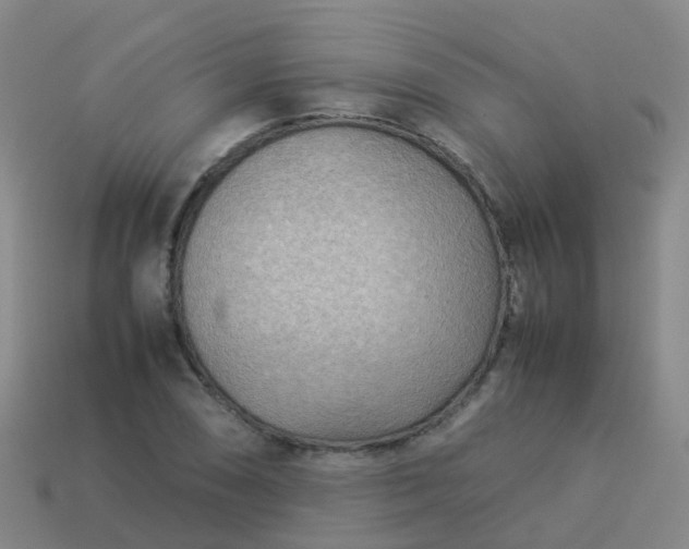 X0000114111074200910191657