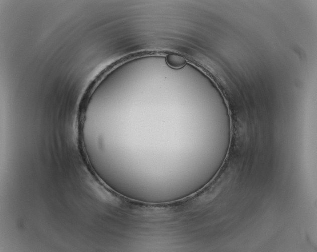 X0000114111076200910191657