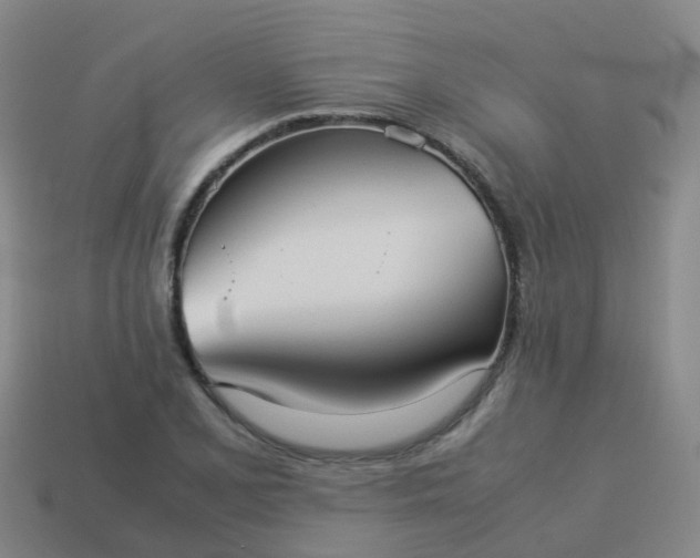 X0000114111077200910191657