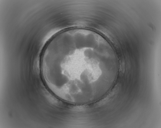 X0000114111078200910191657