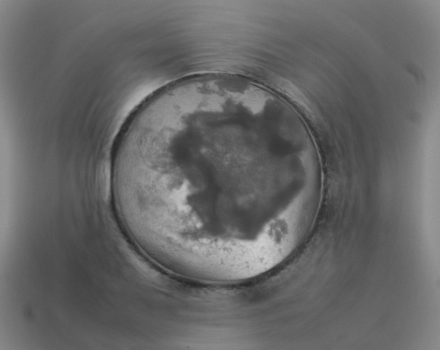 X0000114111079200910191657