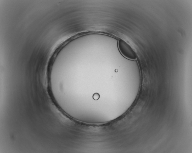 X0000114111080200910191657