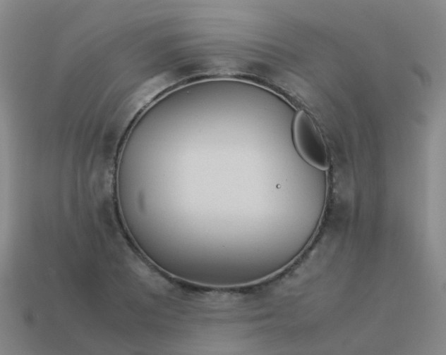 X0000114111081200910191657