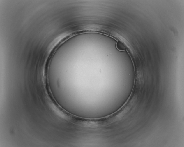 X0000114111082200910191657