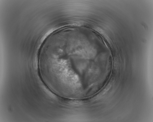 X0000114111083200910191657