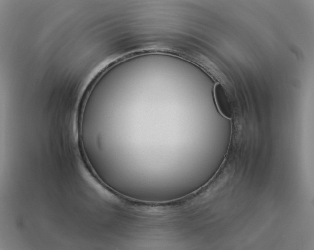 X0000114111084200910191657