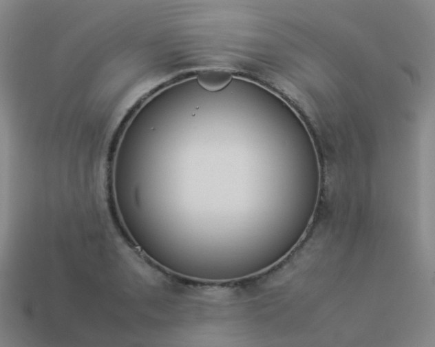 X0000114111085200910191657