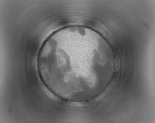 X0000114111086200910191657