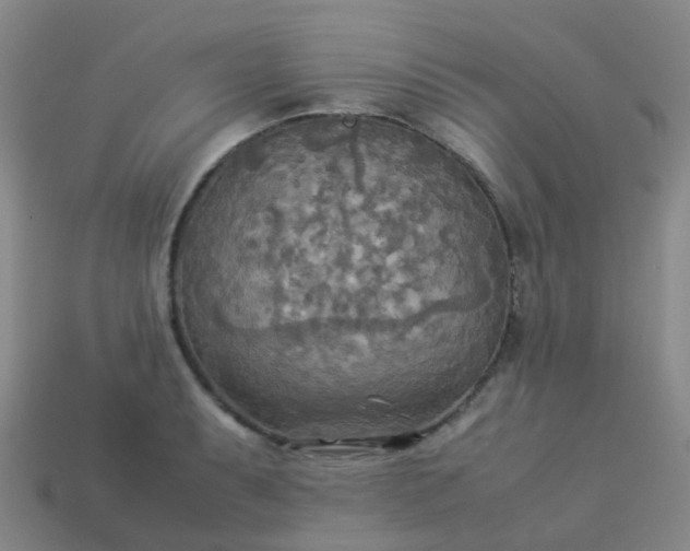 X0000114111087200910191657