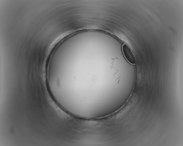 X0000114111088200910191657