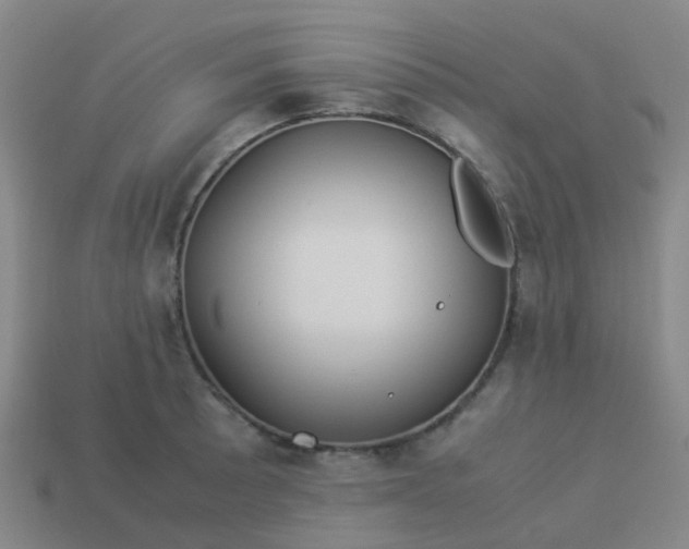 X0000114111089200910191657