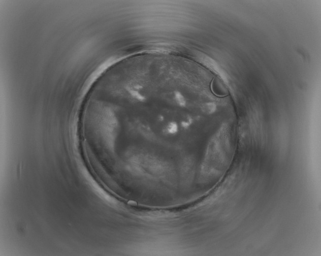 X0000114111091200910191657