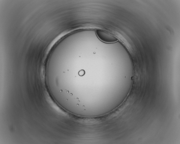 X0000114111092200910191657