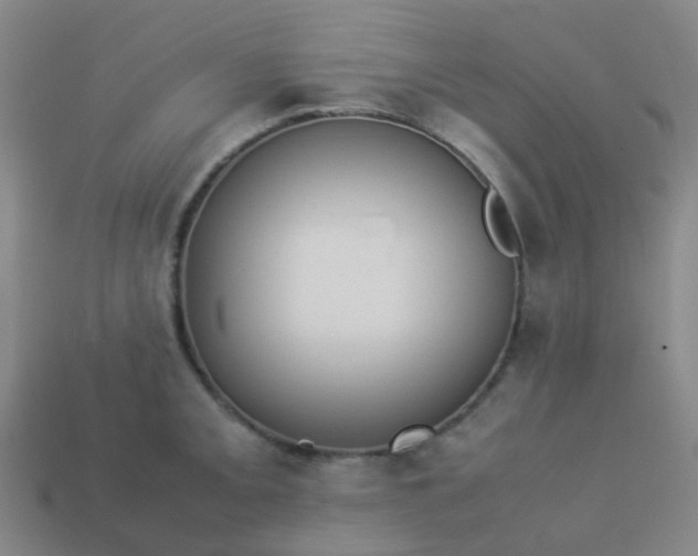 X0000114111093200910191657