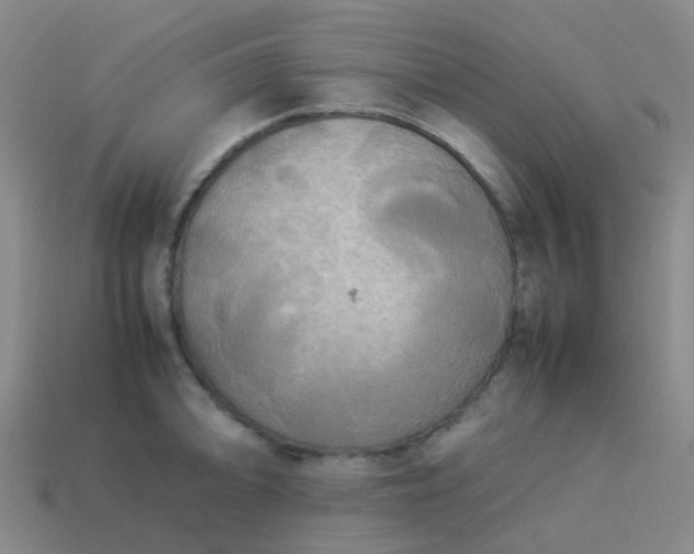 X0000114111094200910191657