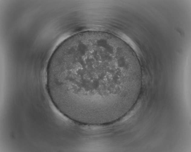 X0000114111095200910191657