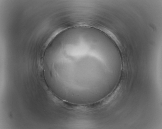 X0000114111097200910191657