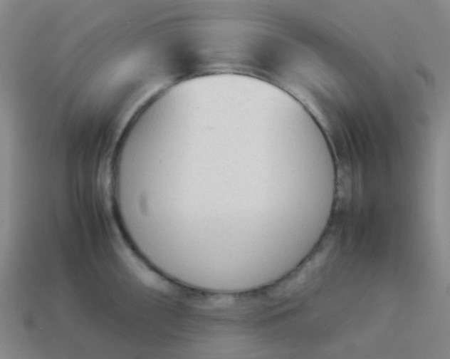 X0000114111098200910191657