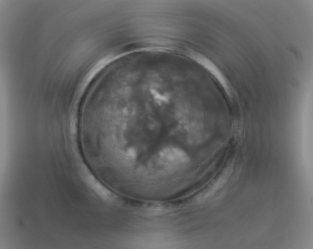 X0000114111099200910191657