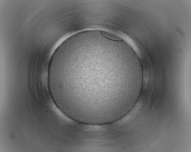 X0000114111100200910191657