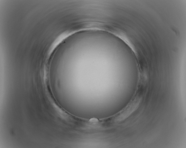 X0000114111101200910191657