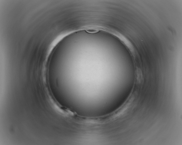 X0000114111102200910191657