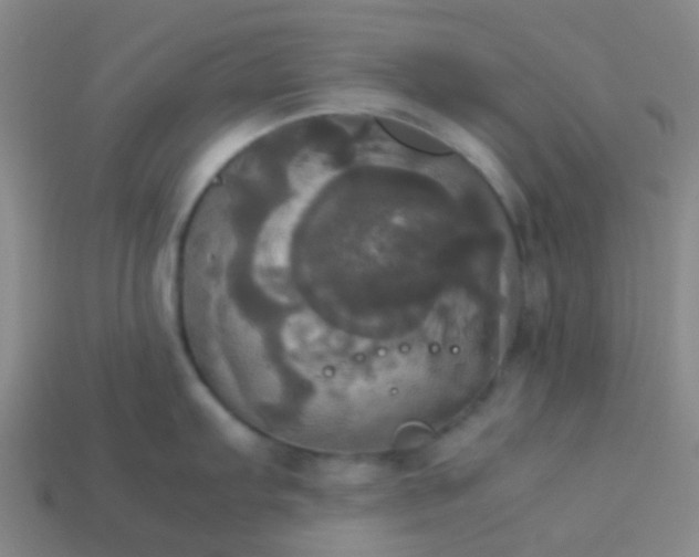 X0000114111103200910191657