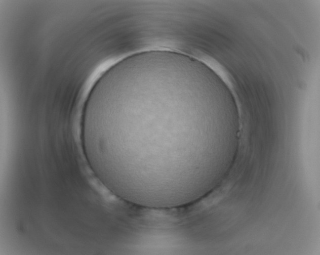 X0000114111104200910191657