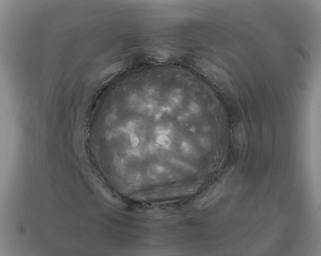 X0000114111105200910191656