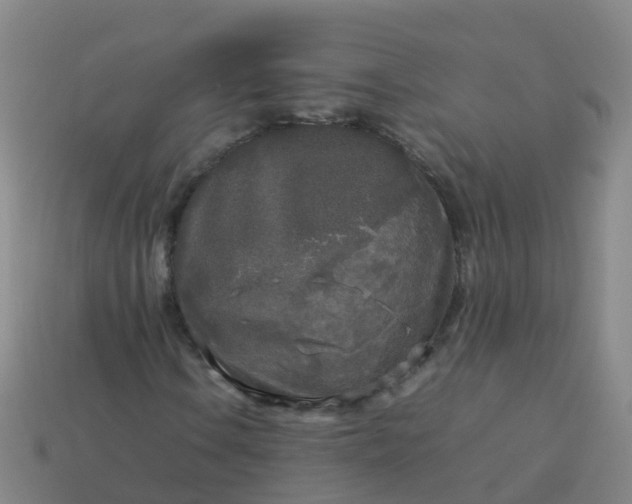 X0000114111106200910191656