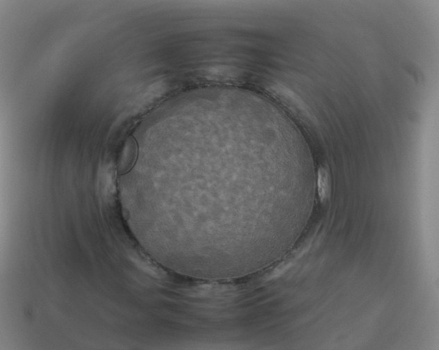 X0000114111107200910191656