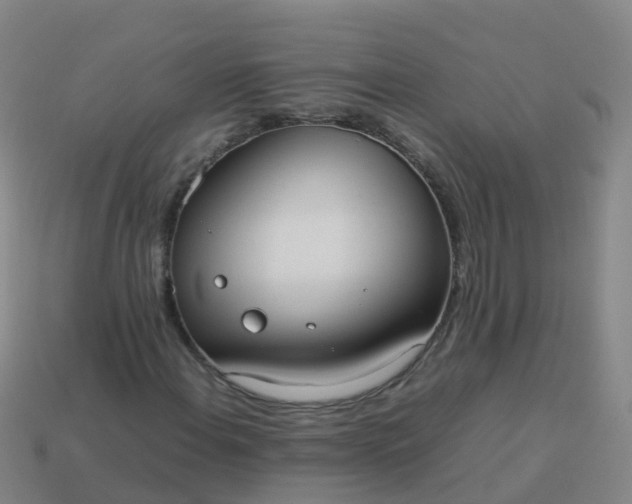 X0000114111108200910191656