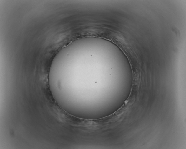 X0000114111109200910191656