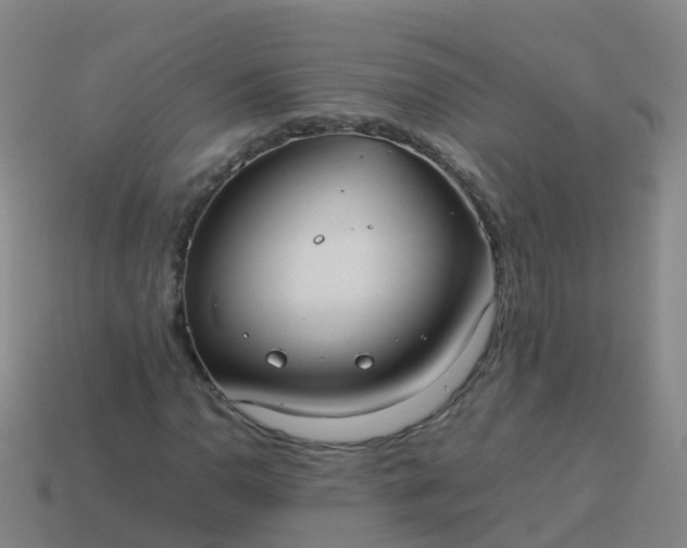 X0000114111110200910191656