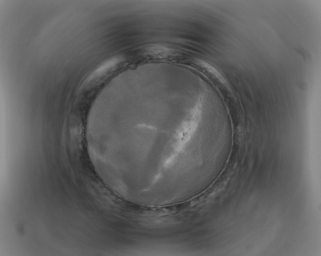 X0000114111111200910191656