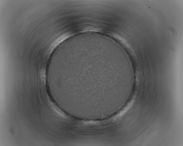 X0000114111113200910191656