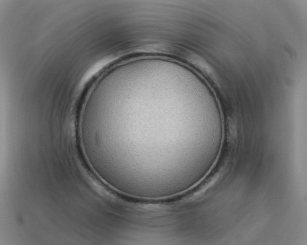 X0000114111114200910191656